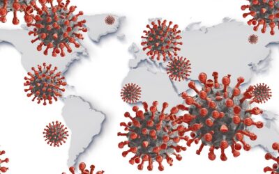Learning about Risk in a Global Pandemic