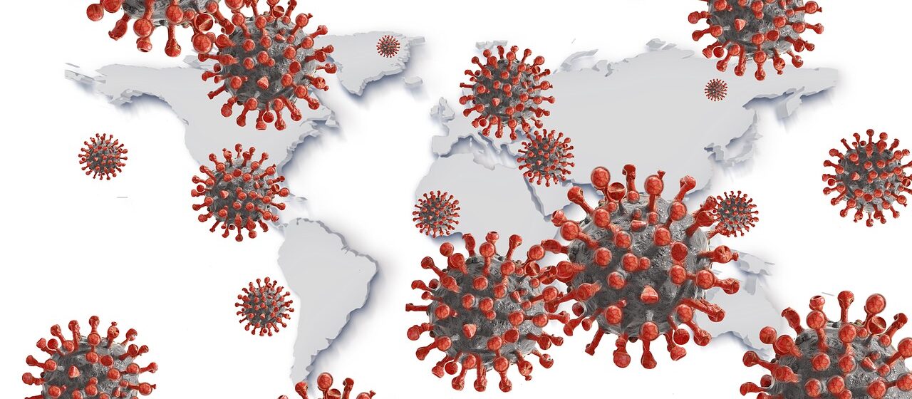 Learning about Risk in a Global Pandemic e16230670257791